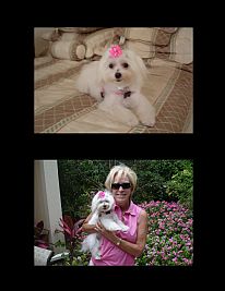 carol-Lee profile photo