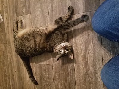 Ashtontr profile photo