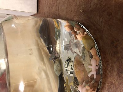 EmmalineMorris profile photo