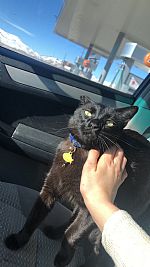 EmmalineMorris profile photo