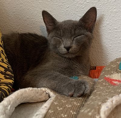 ADobbs555 profile photo