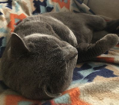 V6NICE profile photo