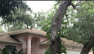 Kelbel5000 profile photo