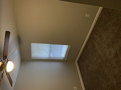 msventure profile photo