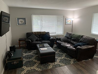 msventure profile photo