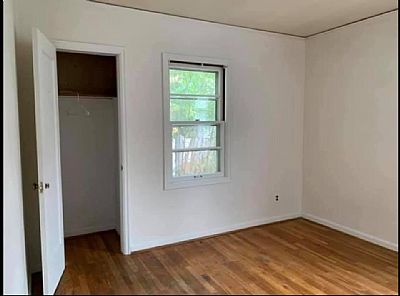 motherofdogs profile photo