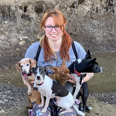 motherofdogs profile photo