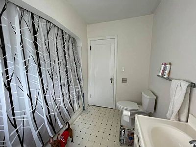 motherofdogs profile photo