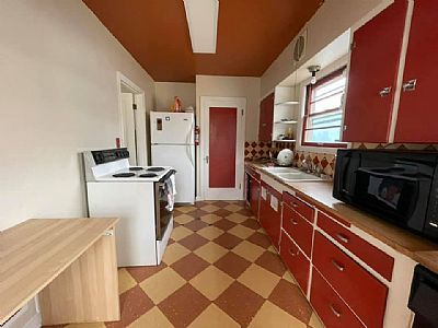 motherofdogs profile photo