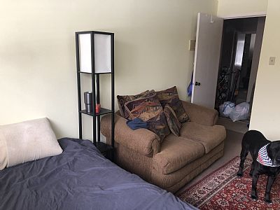 WiseyReed19 profile photo