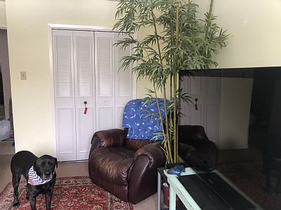 WiseyReed19 profile photo