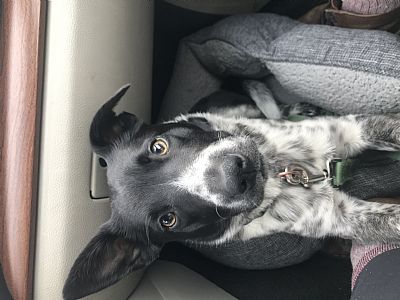 lylaautumn profile photo