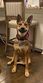 Reese47 profile photo