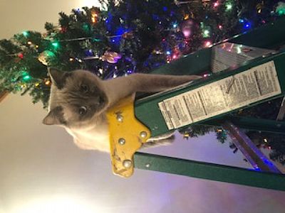 ianderson251 profile photo