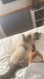 ianderson251 profile photo