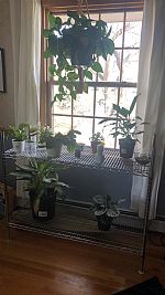 ianderson251 profile photo