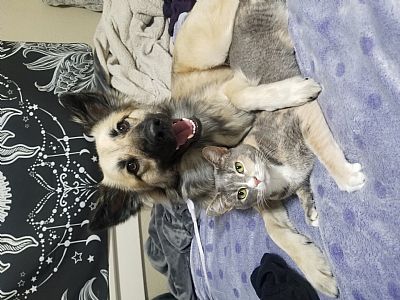 janaya.hudley profile photo