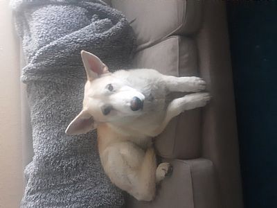 NicoleF79 profile photo