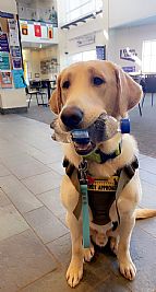 AbigailTyrell profile photo