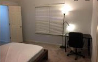 Steady101 profile photo