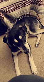 cameronmayo00 profile photo