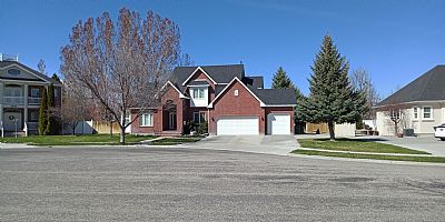 dsaniel profile photo