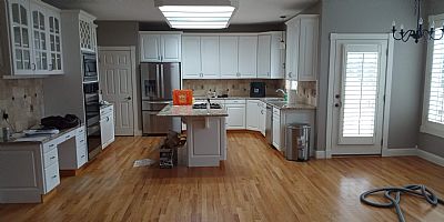 dsaniel profile photo