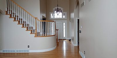 dsaniel profile photo