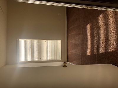 Peyyytonn profile photo