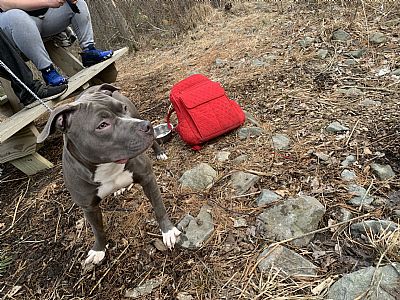 Mariahdub profile photo