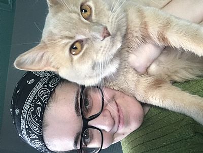 somenightsi profile photo