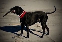 zaizai profile photo