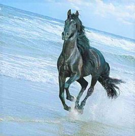 zaizai profile photo