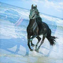 zaizai profile photo