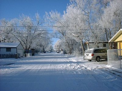 Lizp307 profile photo