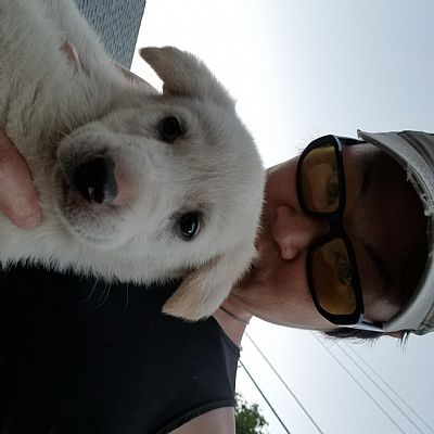 Russetdragon profile photo