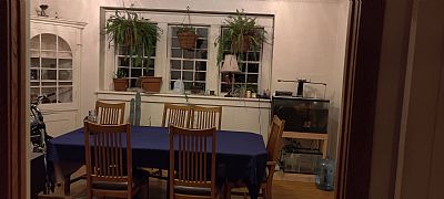 maysuun profile photo