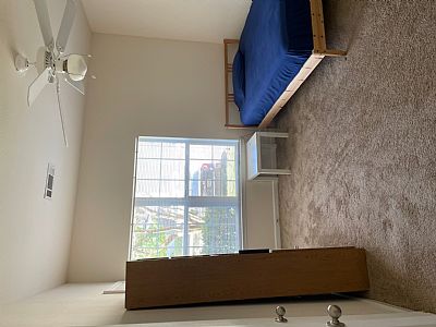 lucasegg profile photo