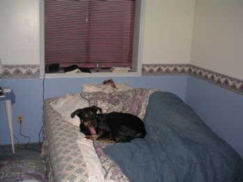 LVpine profile photo