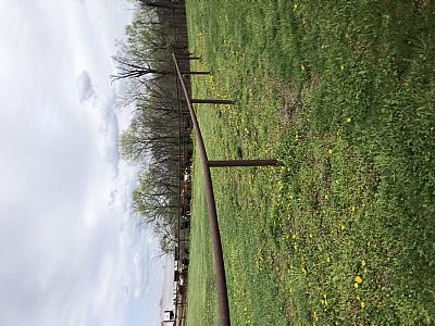 MilleM profile photo