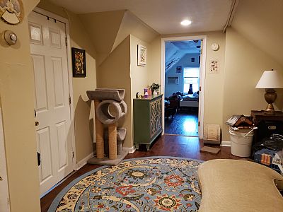 AlyciaLH profile photo