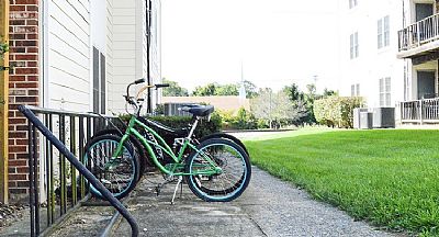 rmarenick profile photo