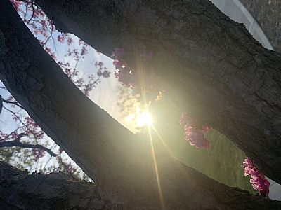 SageHouse profile photo