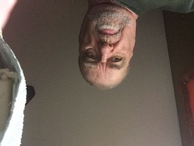 Ronner128 profile photo