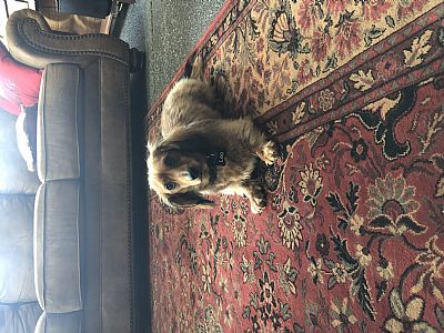 Carriejane213 profile photo