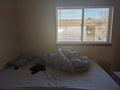 Sonja489 profile photo