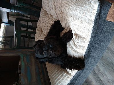 daystevens profile photo