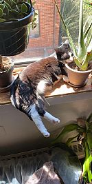 ashleyt431 profile photo