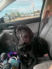 Abryantbunch profile photo