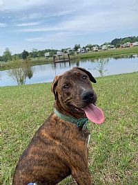 Abryantbunch profile photo